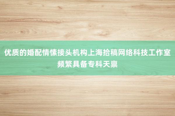 优质的婚配情愫接头机构上海拾稿网络科技工作室频繁具备专科天禀