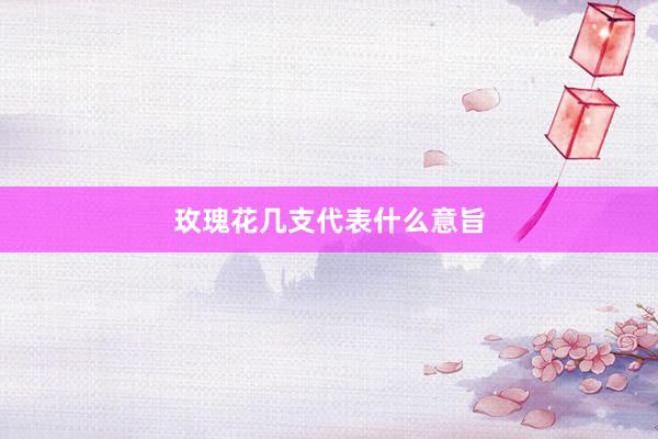 玫瑰花几支代表什么意旨