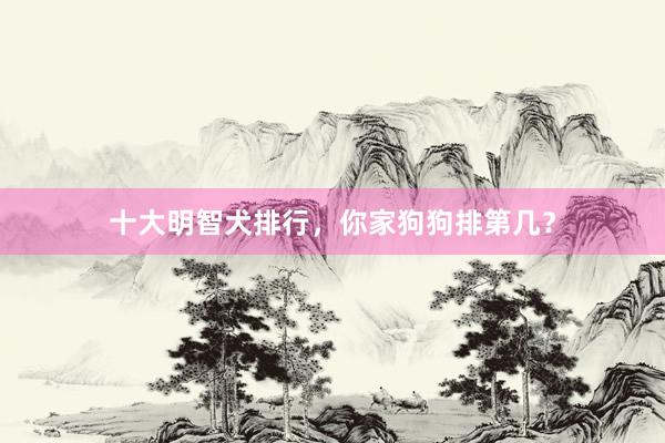 十大明智犬排行，你家狗狗排第几？