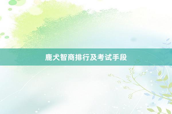 鹿犬智商排行及考试手段